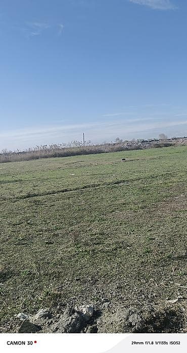 Квартиры: 20 соток, Для сельского хозяйства, Собственник, Купчая — 2