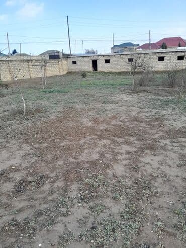 bine atciliqda torpaq: 7 sot, Tikinti, Mülkiyyətçi, Kupça (Çıxarış) — 2