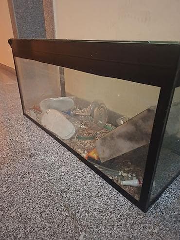 Akvarium şüşə tank satilir. Isteyen elaqe saxlasin. Unvan Baki. -
