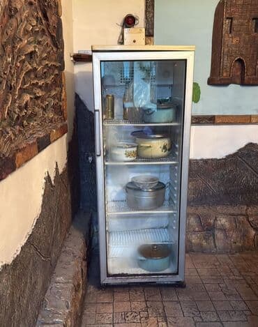 QAZ: Vitrin soyuducu – tam işlək vəziyyətdə. Şüşə qapılı, dik (tək qapı) — 1