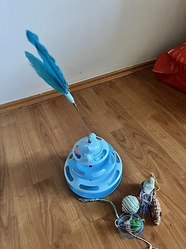 heyvan mal: Pişik üçün aksesuarlar dəsti - Daşıma kontaineri: Möhkəm plastik — 7