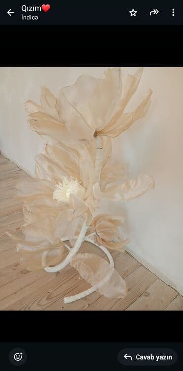 son zəng şəkilləri: Fiqur — 1