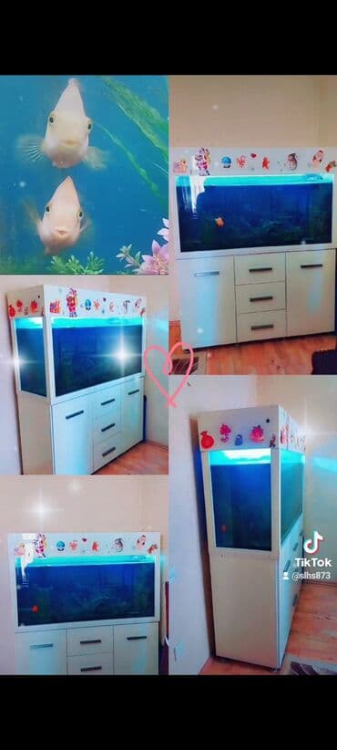 balıq haqqında melumat: Akvarium-şkaf, Balıqlarla birlikdə, 600 l, Ünvandan götürmə — 3