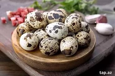 bildircin eti satisi: 🥚 Təbii bildirçin yumurtası – hər gün təzə! Satışda keyfiyyətli və — 2