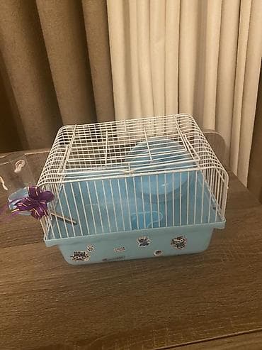 Quşlar: 1 aydır alınıb az ıstıfade olunub ustunde su qabısı,fırlanan çarxı — 2