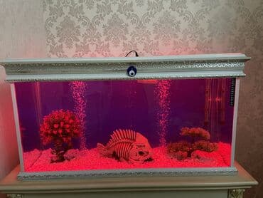 аквариум без рыб: Akvarium en 45 sm uzunu 1 metir hün ekran görnüşü 50 sm 20 növ renqli — 3