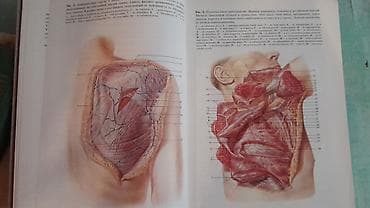 Velosiped ehtiyyat hissələri: Продам книгу "Хирургическая анатомия конечности человека" Москва 1983 — 6