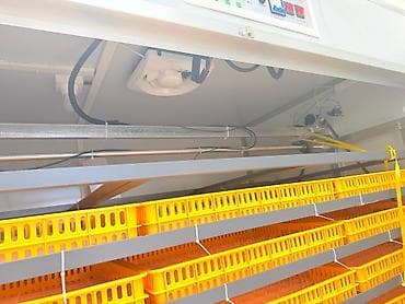 ınqbator: 5000 yumurta, Çin, Fabrik istehsalı, Tam avtomat, Bütün növ quşlaq üçün — 8