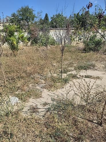 ev modelleri: 3 sot, Tikinti, Mülkiyyətçi, Kupça (Çıxarış), Texniki pasport — 3