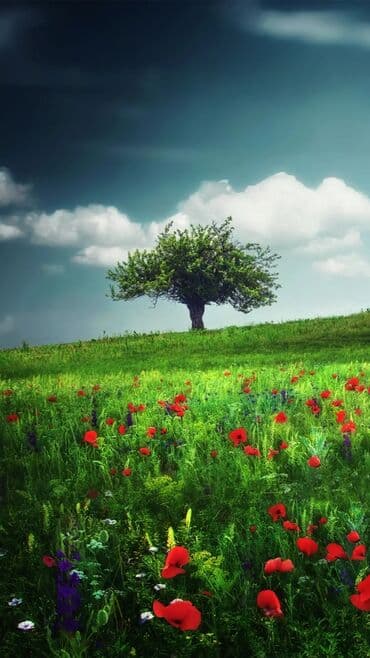 guneslide 3 otaqli evler: TƏCİLİ.Xahis olunur DİQQƏTLƏ oxuyun və sonra zəng etməyi unutmayin — 10