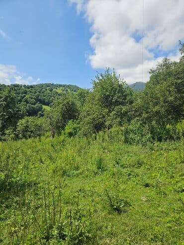 ferma icarəyə verilir: Tikinti — 2