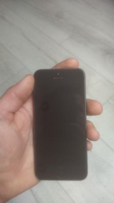 Фото и видеокамеры: IPhone 5, Черный — 1