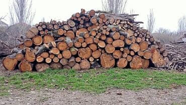 islenmis xalcalarin satışı: Pecboyu Dogranmis Odun Satilir — 1