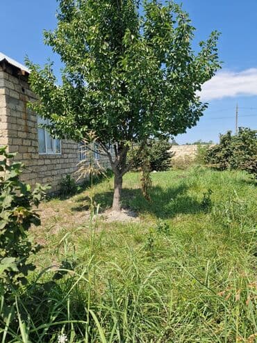 купить бак для воды: Xaçmaz, 160 kv. m, 3 otaqlı, Qaz, İşıq, Su — 13