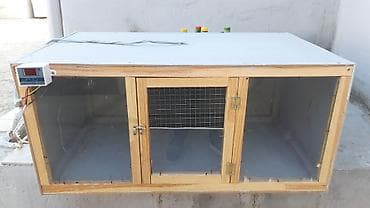 hamster near me: Cuceler ucun bruder termostatla idare olunur istilik.her terefi — 9