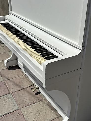 studiya mikrafonu: Ağ rəngli akustik upright pianino - Klassik vertikal korpus, sadə və — 7