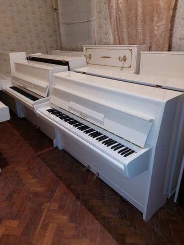 piyanina: Pianino PETROF Cexiya istehsalı. İdeal vəziyyədə. Cadrılma və köklənmə — 2