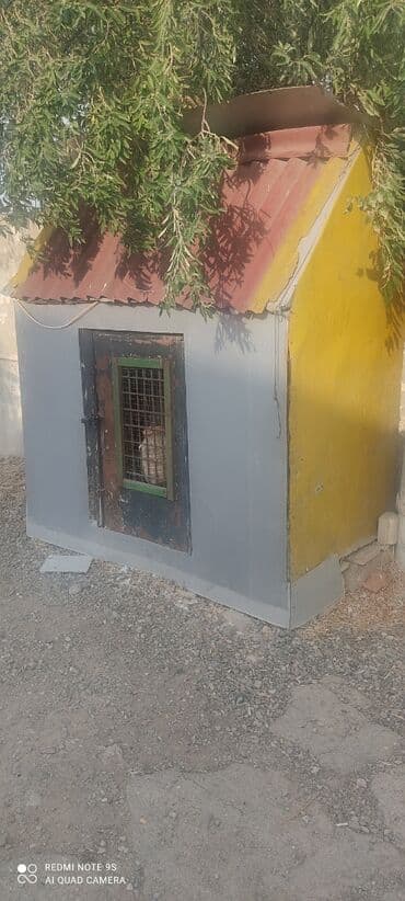 Quşxana Satlır 30 cüt xana