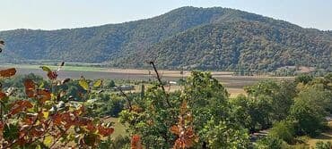 10 sot, Makler, Kupça (Çıxarış) lalafo.az -da 10 sot, Makler, Kupça (Çıxarış)