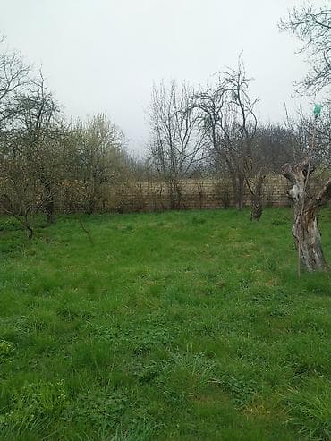 10 sot, Tikinti, Kupça (Çıxarış) lalafo.az -da 10 sot, Tikinti, Kupça (Çıxarış)