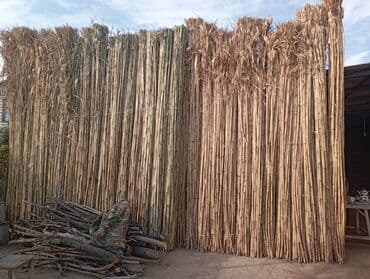 Qamiş satılır ünvan Ağstafa Rayon Aşagi Kəsəmən kəndi ətraflı zəng