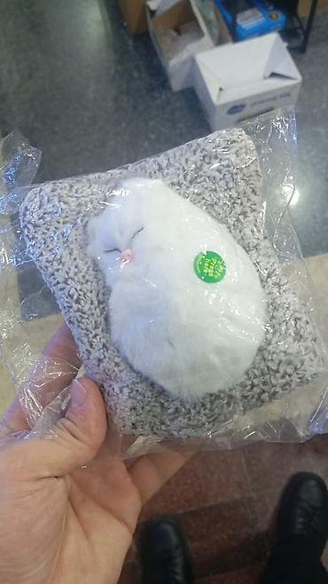 kiridit masin: Yastıq üzərində yatan pişik fiqurlu dekorativ oyuncaq - Realistik — 1