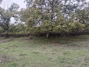 kreditle torpaq alqi satqisi: Tikinti — 6