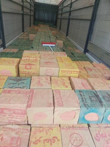 Qırmızı rəngdə olan iran istehsali olan dekorativ, yüksək lalafo.az -da Qırmızı rəngdə olan iran istehsali olan dekorativ, yüksək