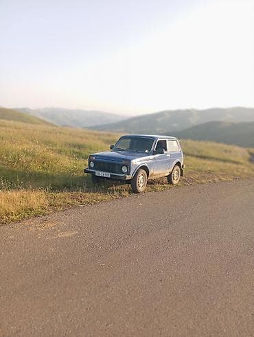 lada priora universal: VAZ (LADA) 4x4 Niva: 1.7 l | 2008 il Ofrouder/SUV — 6