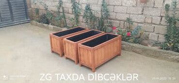 taxta şalban: Dibçəklər hər növ ölçüdə taxda dibcəklər dekorativ ağaclar və güllər — 2