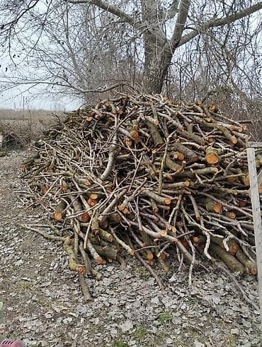 Самовары: Gilas şafdalı odunu 3 qazel — 2