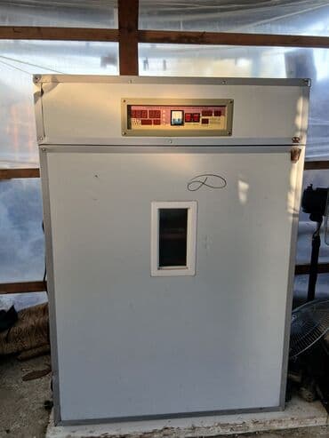 1100 yumurta, Çin, Tam avtomat