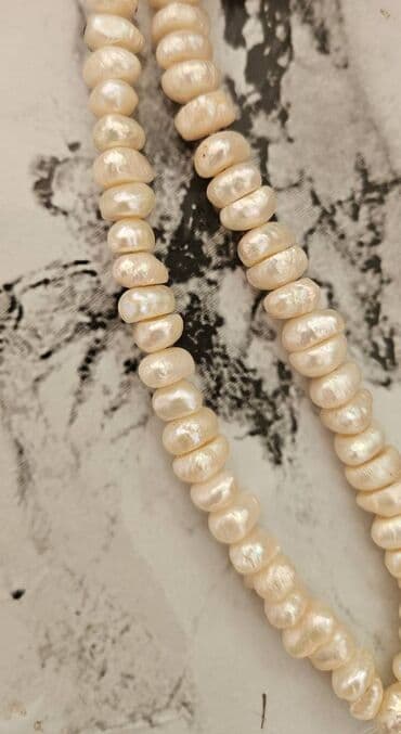 xari bulbul klonu: Sep — 1