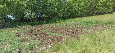 rayonlara: Qax rayonunda ili suya yaxın qaşqa kənd deyilən bir çay var,dağın — 5