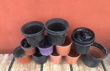 kala bitkisi: Plastik çiçək/bitki qabları dəsti satılır. - Rənglər: qara, tünd — 2