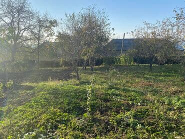 qubada torpaq satilir 2020: 10 sot, Mülkiyyətçi, Kupça (Çıxarış) — 4