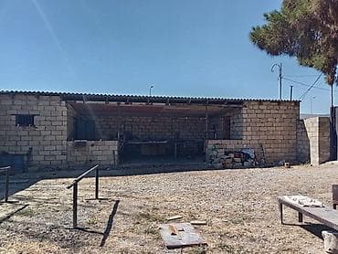 sumqayitda evler: 4 sot, Biznes üçün, Mülkiyyətçi — 9