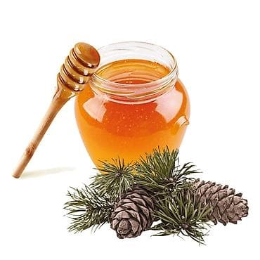 xari bulbul gulu satilir: Şam balı / Şam ağacının balı — 1