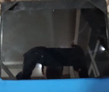 Другие планшеты: SAMSUNG PRO+ PERFONMANCE VERSİON Alan olsa Böyük endirim olacaq — 1