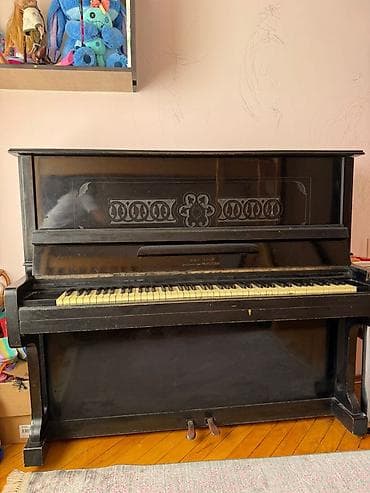 piyanina: Piano, Akustik — 5