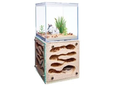 it üçün ev: Hər ölçüdə hər dizaynda qarışqa yuvaları yığılır səliqəli və təmiz — 8