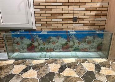 сколько стоит аквариум: Прямоугольный аквариум, Пустой, 350 л, Самовывоз — 2