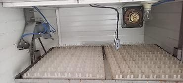 inkubatora: Yumurta inkubasiya aparatı – “Automatic Computer Control Incubator” — 2