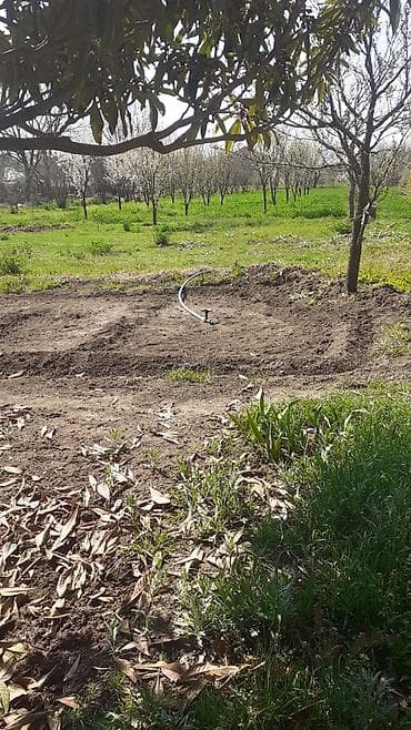 .yonca.satılır.piçməyə.verilir. - Dairəvi yağmurlama başlığı ilə