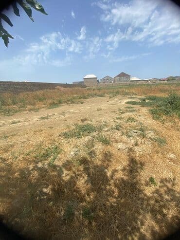binə qəsəbəsi ats: 45 sot, Kənd təsərrüfatı, Mülkiyyətçi, Kupça (Çıxarış) — 1
