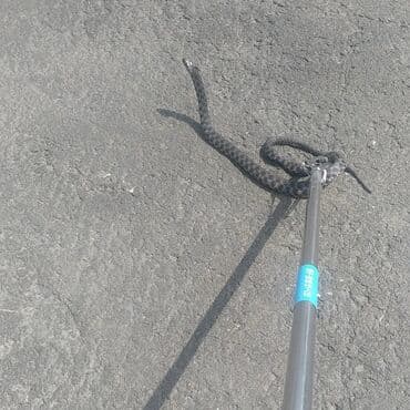 ev təmizləmə: Dezinfeksiya, dezinseksiya | Birələr, Tarakanlar, Viruslar, mikroblar | Nəqliyyat, Ofislər, Mənzillər — 3