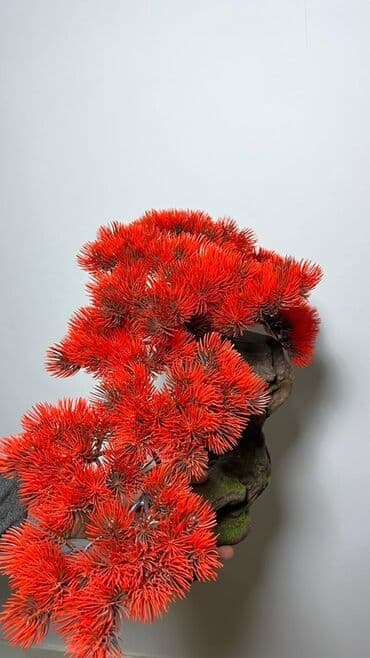 budda: Süni bonsai ağacı – dekorativ içməkan yaşıllaşdırma üçün - Realistik — 28