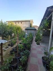 sumqayit 12 mkr kiraye evler: Merdekanda gözel yerde 4 sotda 4 otaqlı ev satılır qazı, ışıqı, suyu — 5