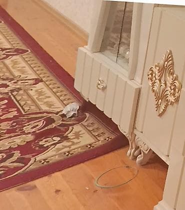 qapilari: Masa və oturacaqlar — 6