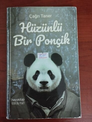 harry potter və fəlsəfə daşı pdf yüklə: Harry Potter Sen on yedi yaşımsın Hüzünlü bir ponçik The Secret — 3